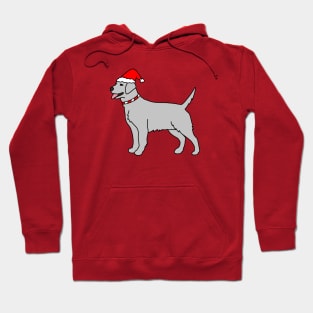 Gray Christmas Dog Hoodie